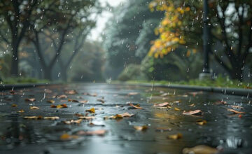 В некоторых местах наблюдались осадки – ФАКТИЧЕСКАЯ ПОГОДА