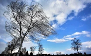 В Баку и регионах усилится ветер – ПРЕДУПРЕЖДЕНИЕ