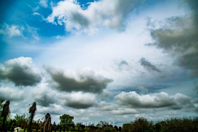 Прогноз погоды на праздничные дни