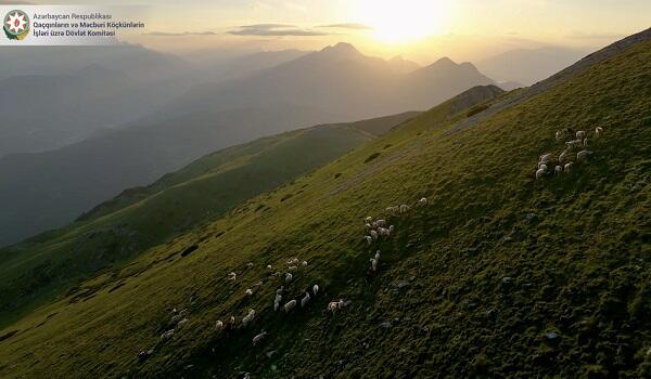 Площадь природных заповедников резко сократилась