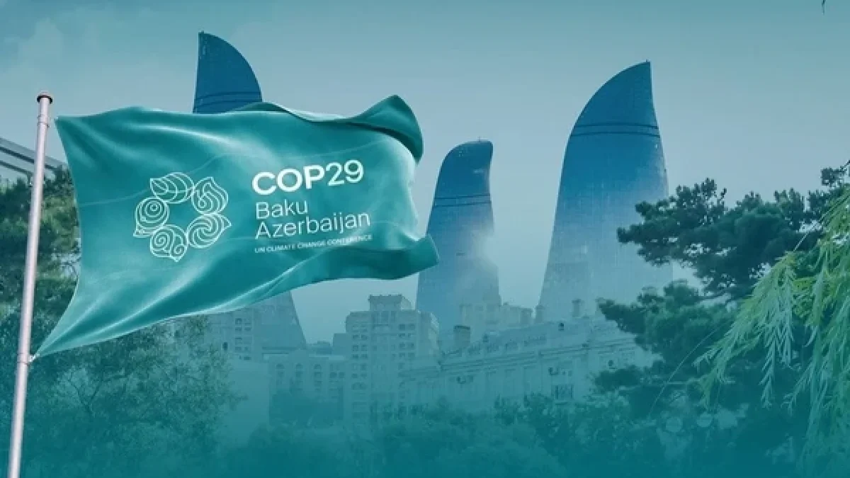 Операционная компания COP29 Azerbaijan ликвидирована