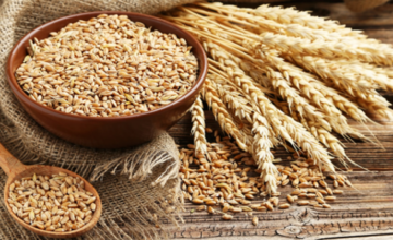 В прошлом году в Азербайджан было импортировано около 1,3 млн тонн пшеницы