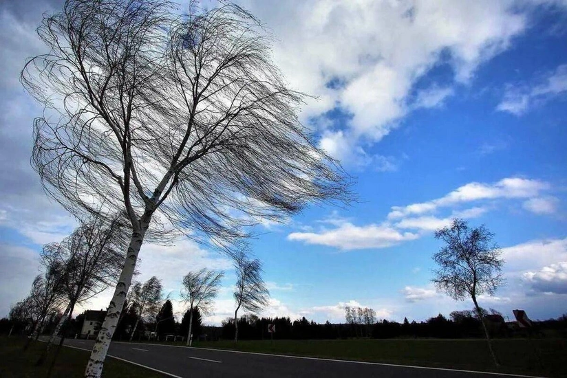Завтра будет дуть сильный ветер – ПРЕДУПРЕЖДЕНИЕ