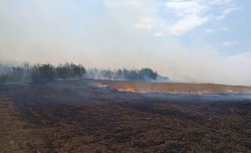 Сильный пожар в Физули и Джебраиле: Распространился на границу