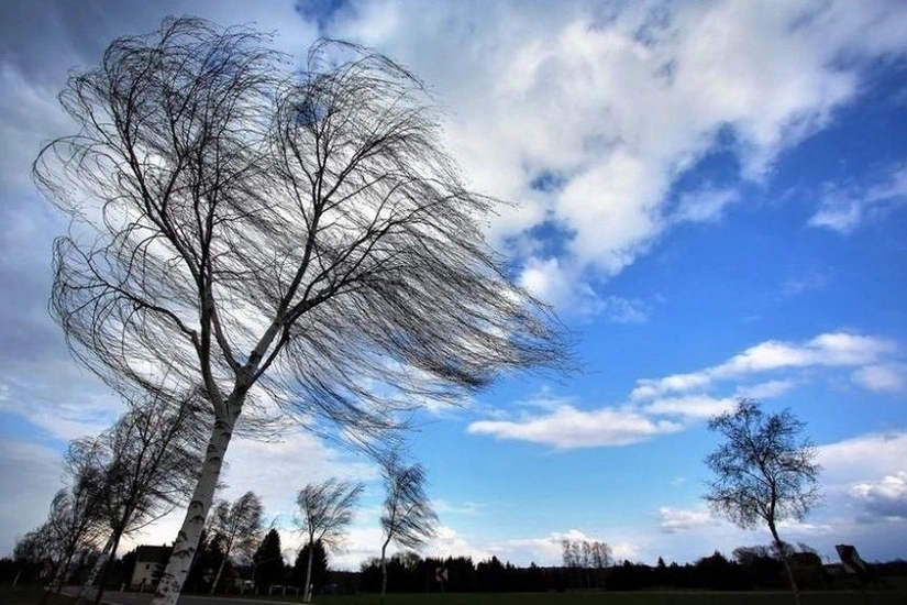 В районах Азербайджана дует сильный ветер, идет снег – ФАКТИЧЕСКАЯ ПОГОДА