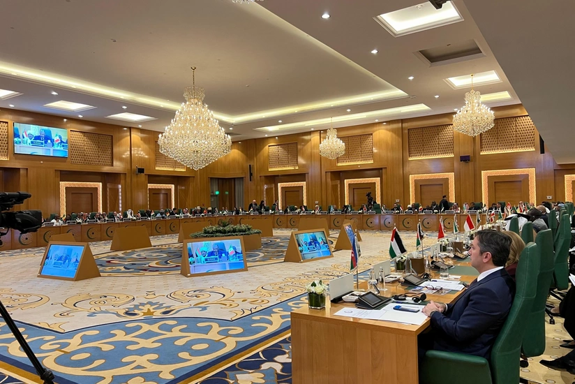 Министры иностранных дел ОИС поддержали территориальную целостность Сомали