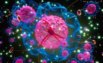 Пищевые консерванты могут повысить риск развития рака и диабета