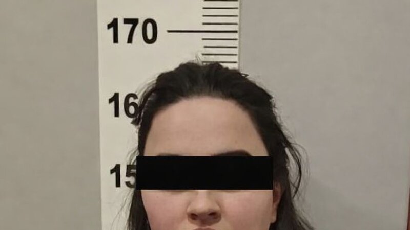 Задержана SMM-щица, обманывавшая владельцев магазинов и объектов