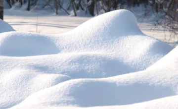 ФАКТИЧЕСКАЯ ПОГОДА: Снежный покров начал таять, ветер усилился