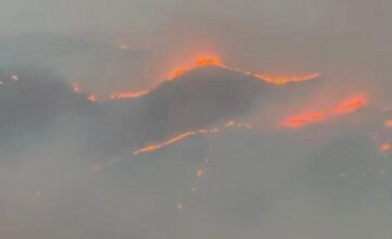 Пожары на открытых территориях в Джебраиле и Физули потушены – ВИДЕО