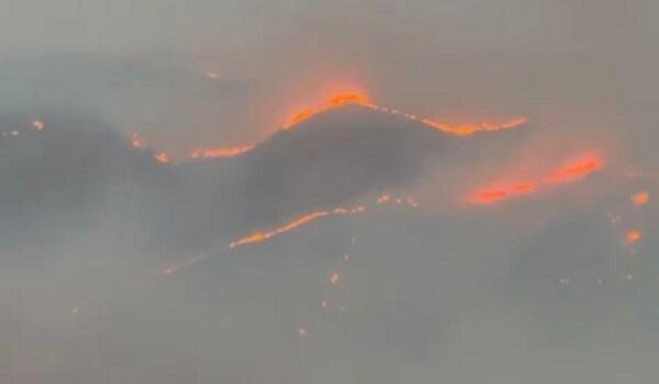 Пожары на открытых территориях в Джебраиле и Физули потушены – ВИДЕО