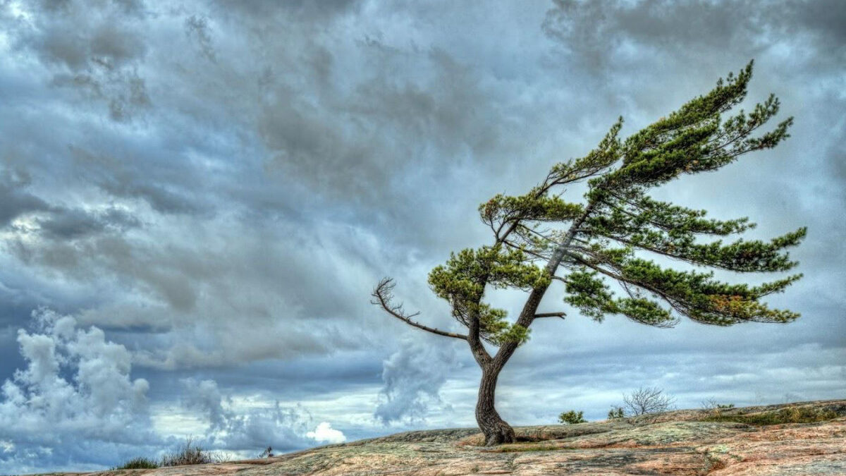 В Азербайджане объявлено желтое предупреждение в связи с ветреной погодой