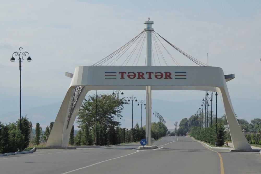 Мать и сын отравились угарным газом, один погиб