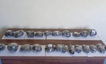 За прошедший день обнаружено более 31 килограмма наркотических средств