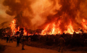 В Австралии объявлено чрезвычайное положение в связи с лесными пожарами