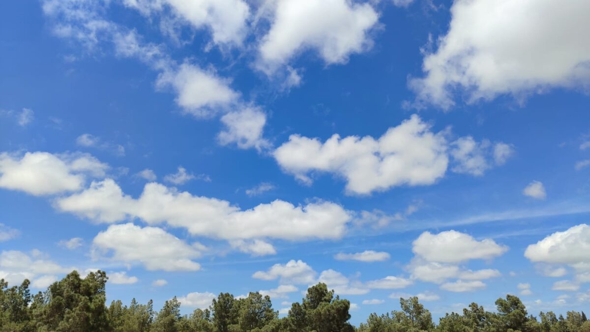 Завтра в Баку будет 16 градусов тепла