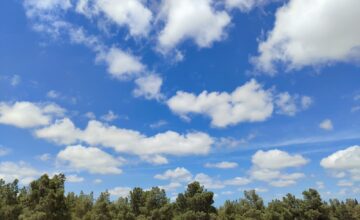 Завтра в Баку будет 16 градусов тепла