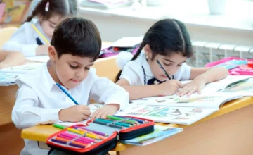 Агентство: Каких-либо решений о приостановке занятий в школах не принималось