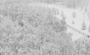 В Москве высота снежного покрова достигла 59 сантиметров