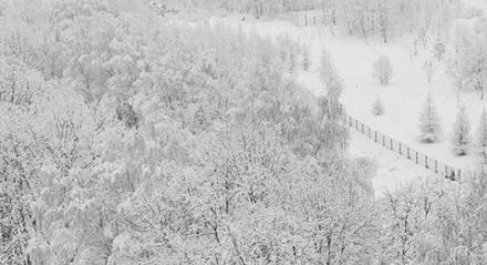 В Москве высота снежного покрова достигла 59 сантиметров