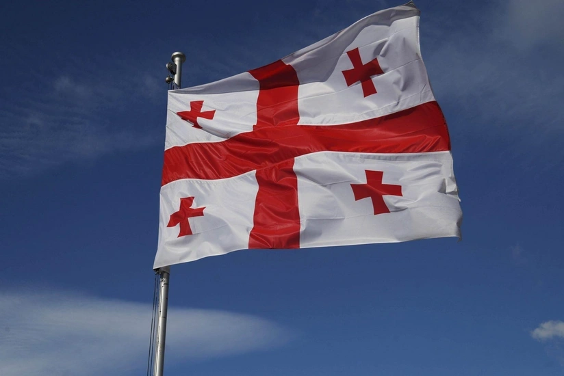 В Грузии предлагаются жесткие изменения в закон о грантах и Уголовный кодекс