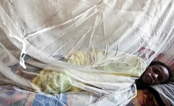 В этом году в Нигерии от лихорадки Ласса умерло 17 человек