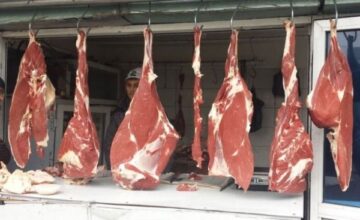 В мясном кутабе обнаружена ДНК лошади – Видео