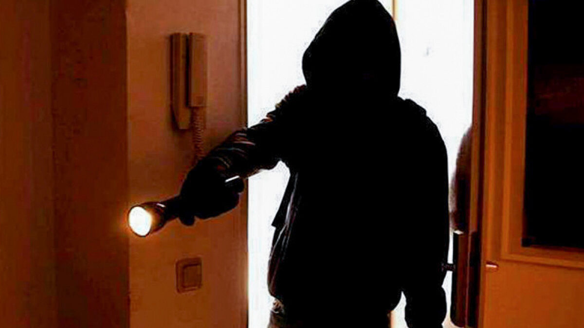 Лица, совершавшие кражи в магазинах и домах, задержаны