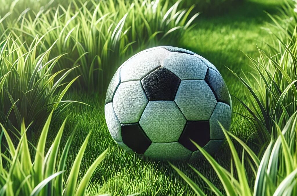 «Галатасарай» расстался с этим футболистом