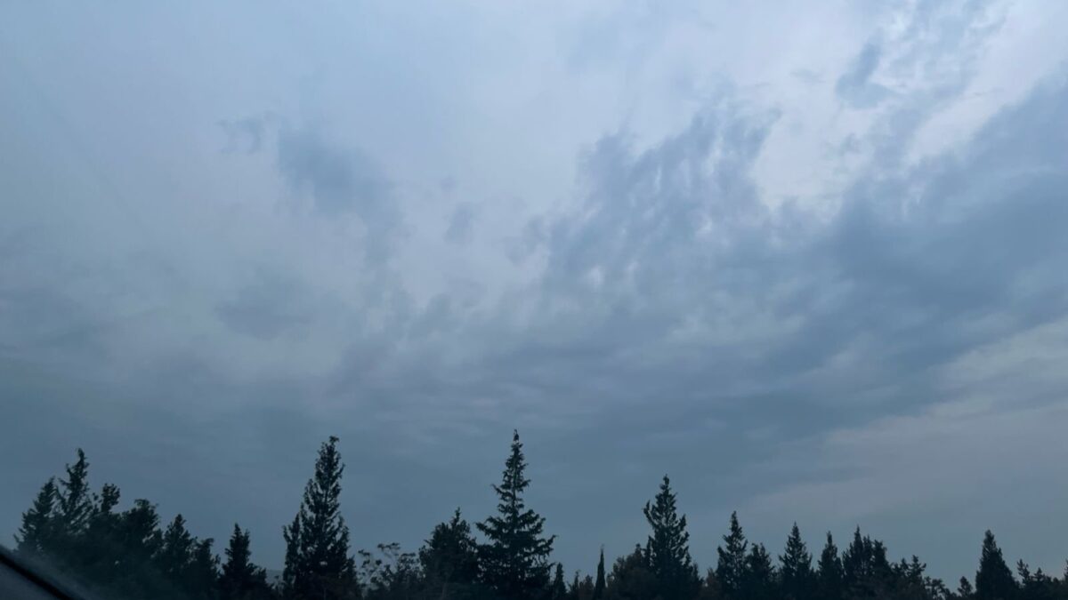 Объявлен прогноз погоды на завтра