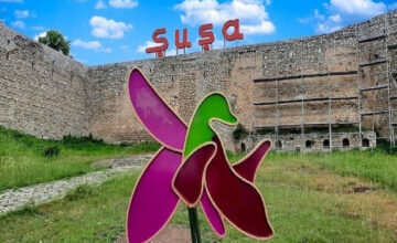 В освобожденных районах в прошлом году было присвоено 9 153 адреса по 191 улице