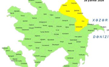 Вынесено жёлтое предупреждение в связи с ветреной погодой