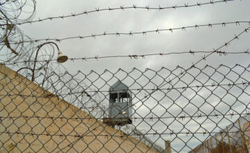 В Азербайджане амнистия применена к более чем 14 тысячам человек