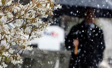 В феврале температура воздуха в некоторых местах будет выше климатической нормы – ПРОГНОЗ