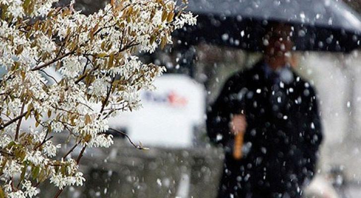 В феврале температура воздуха в некоторых местах будет выше климатической нормы – ПРОГНОЗ