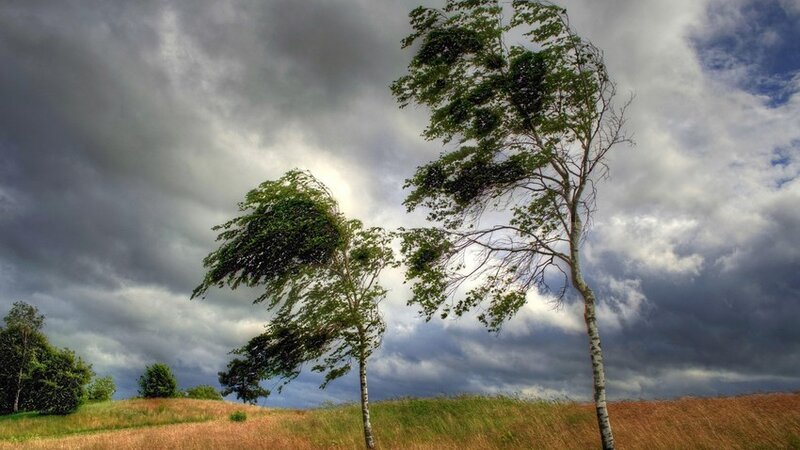 Вынесено желтое предупреждение в связи с ветреной погодой