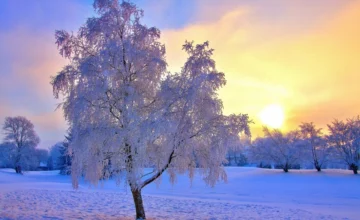 Завтра в Баку будет ветрено, в горных районах выпадет снег