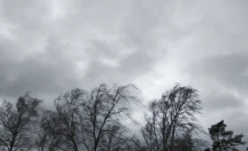 В Азербайджане завтра усилится ветер – ПРЕДУПРЕЖДЕНИЕ