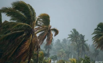 На Мадагаскаре из-за циклона «Гезани» погибли 20 человек