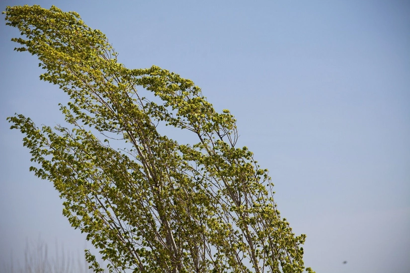 В Баку и некоторых районах завтра усилится ветер – ЖЕЛТОЕ ПРЕДУПРЕЖДЕНИЕ