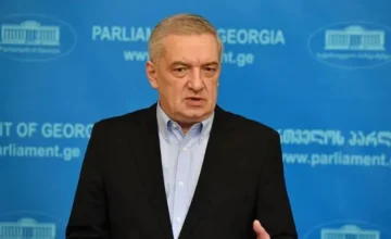 Вице-спикер: Грузия довольна улучшением азербайджано-армянских отношений