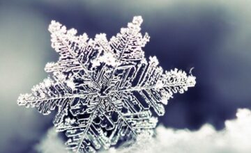 Объявлена погода на завтра