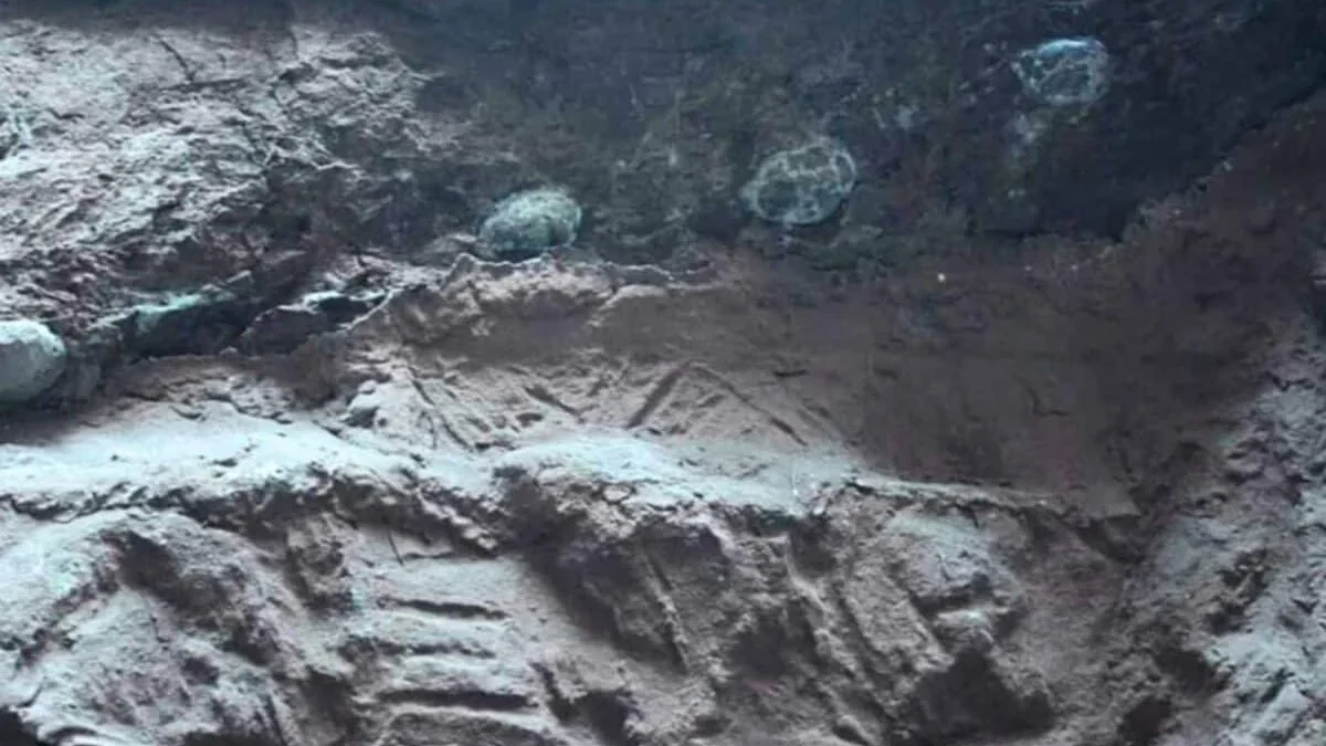 Из яиц динозавров размером с пушечное ядро выросли огромные кристаллы вместо костей