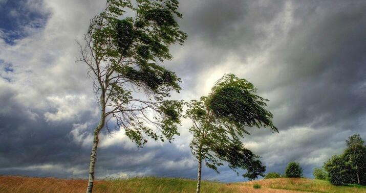 В некоторых местах ветер усилится – ПРЕДУПРЕЖДЕНИЕ