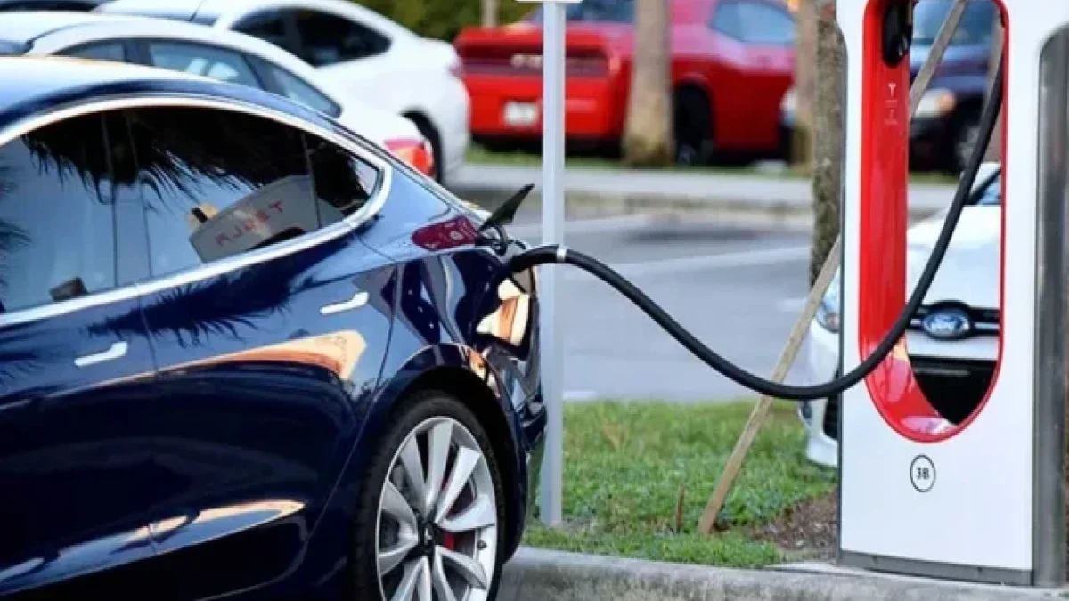 Объявлены показатели по импорту электромобилей и гибридных автомобилей