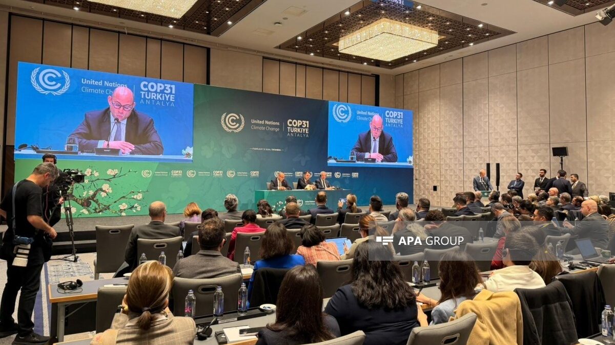 Саймон Стил поблагодарил Азербайджан