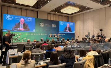 Саймон Стил поблагодарил Азербайджан