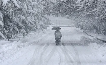 В Японии сильный снегопад унес жизни! 35 человек погибли, 358 получили ранения