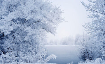 Завтра будет дождливая погода