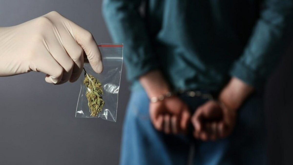 За прошедший месяц выявлено 793 факта преступлений, связанных с наркотиками, задержано 207 человек